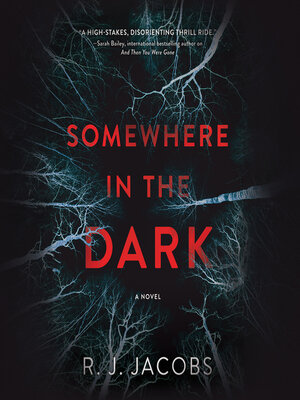 cover image of Somewhere in the Dark